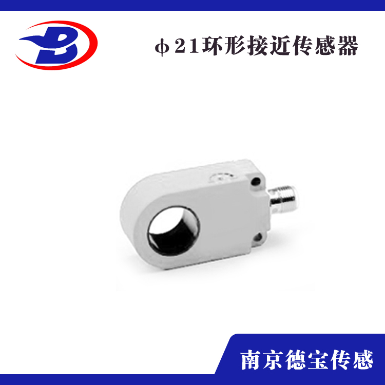 环形电容式国产91麻豆φ21-插件式